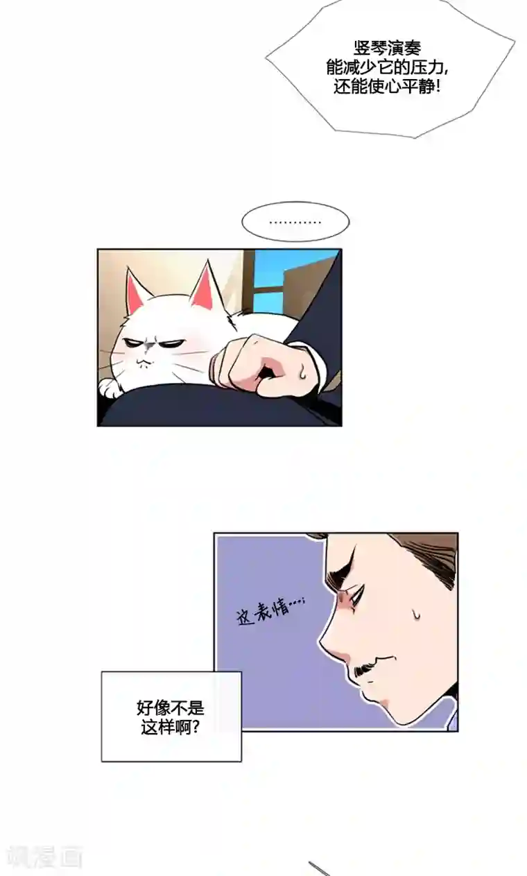 ICE-Cold要员的捡猫事件第85话