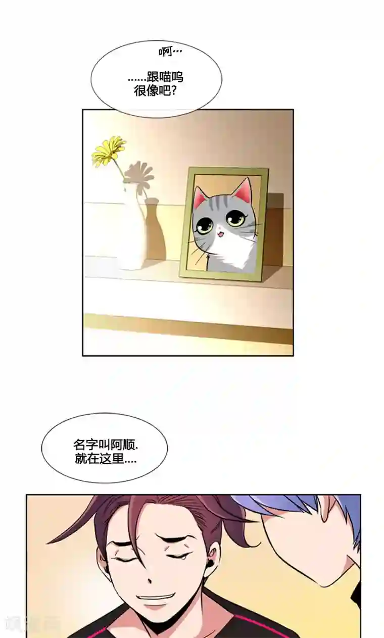 ICE-Cold要员的捡猫事件第86话