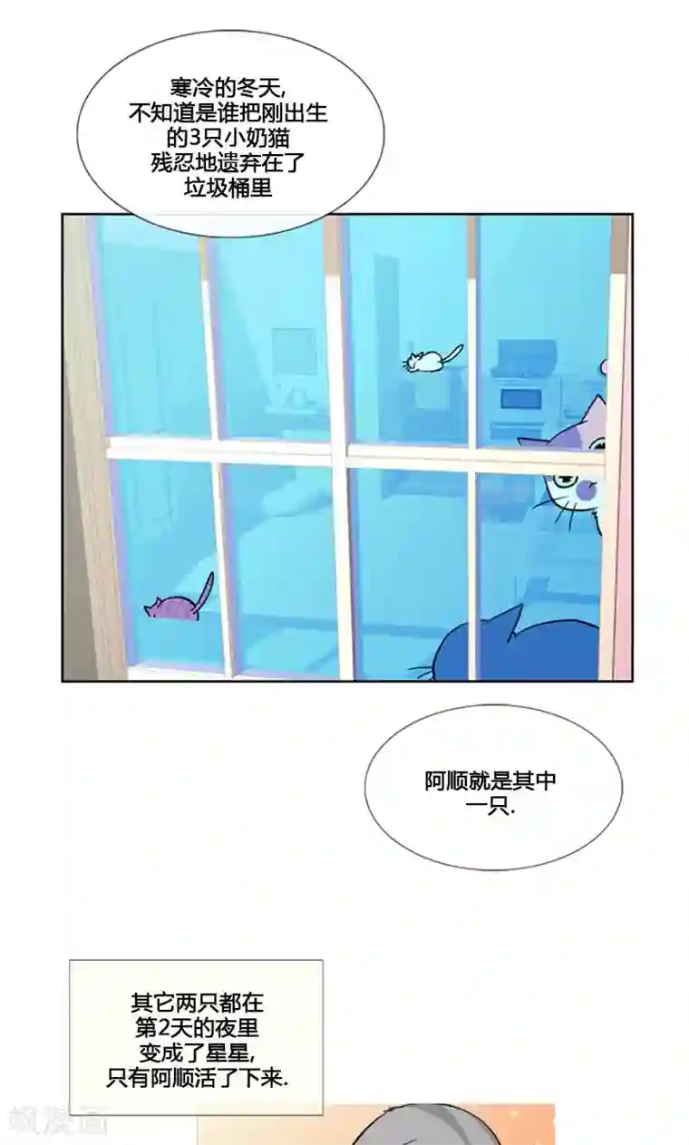 ICE-Cold要员的捡猫事件第86话