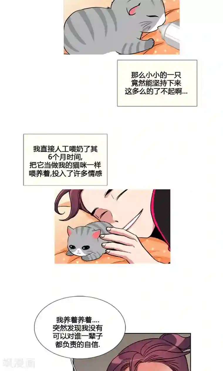 ICE-Cold要员的捡猫事件第86话