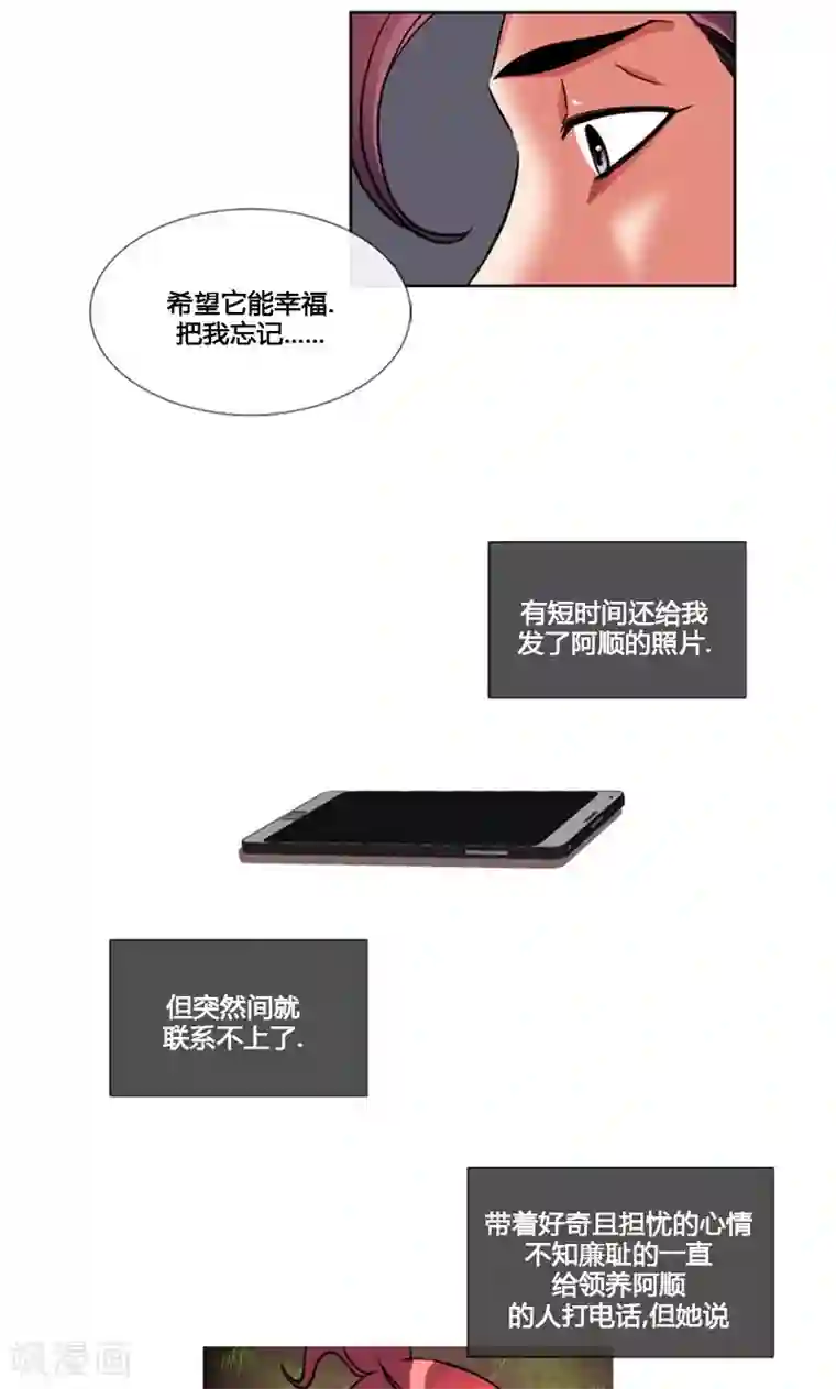 ICE-Cold要员的捡猫事件第86话