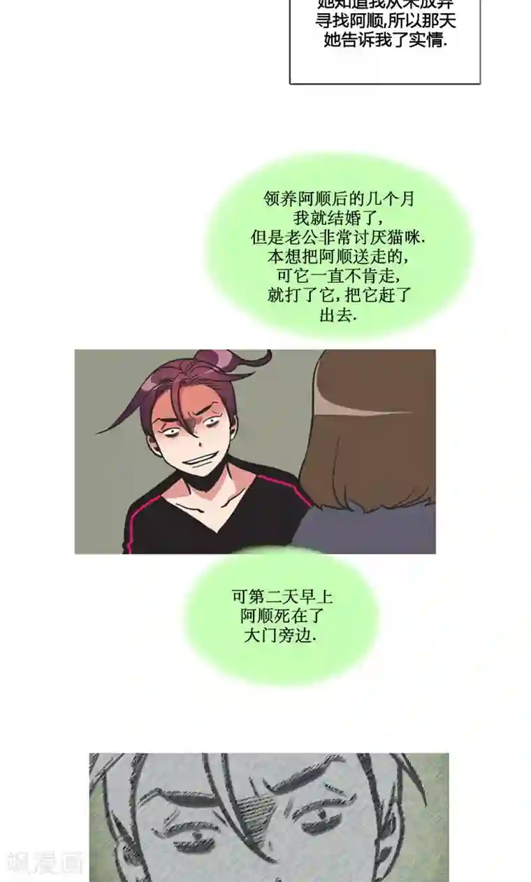 ICE-Cold要员的捡猫事件第86话