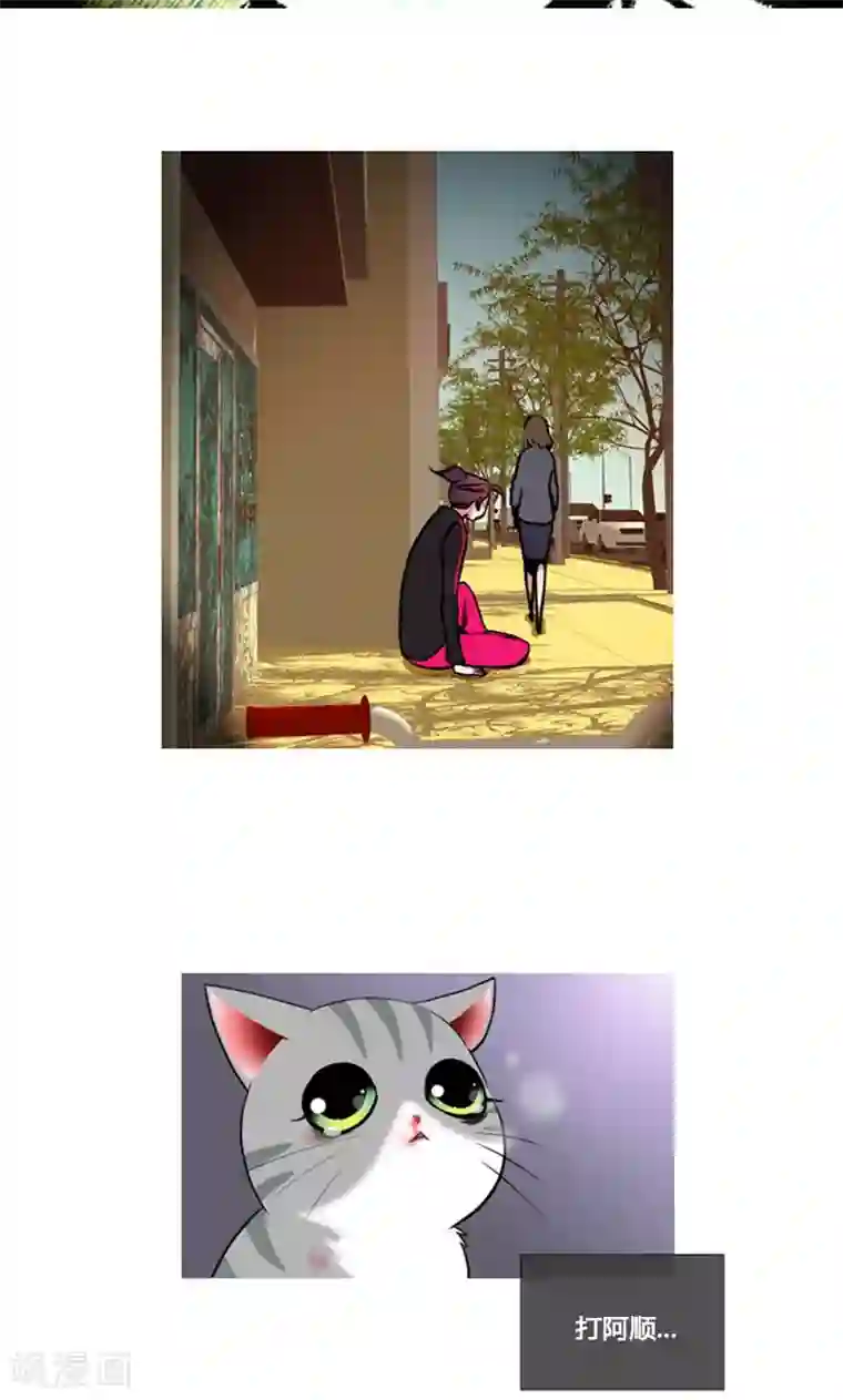 ICE-Cold要员的捡猫事件第86话