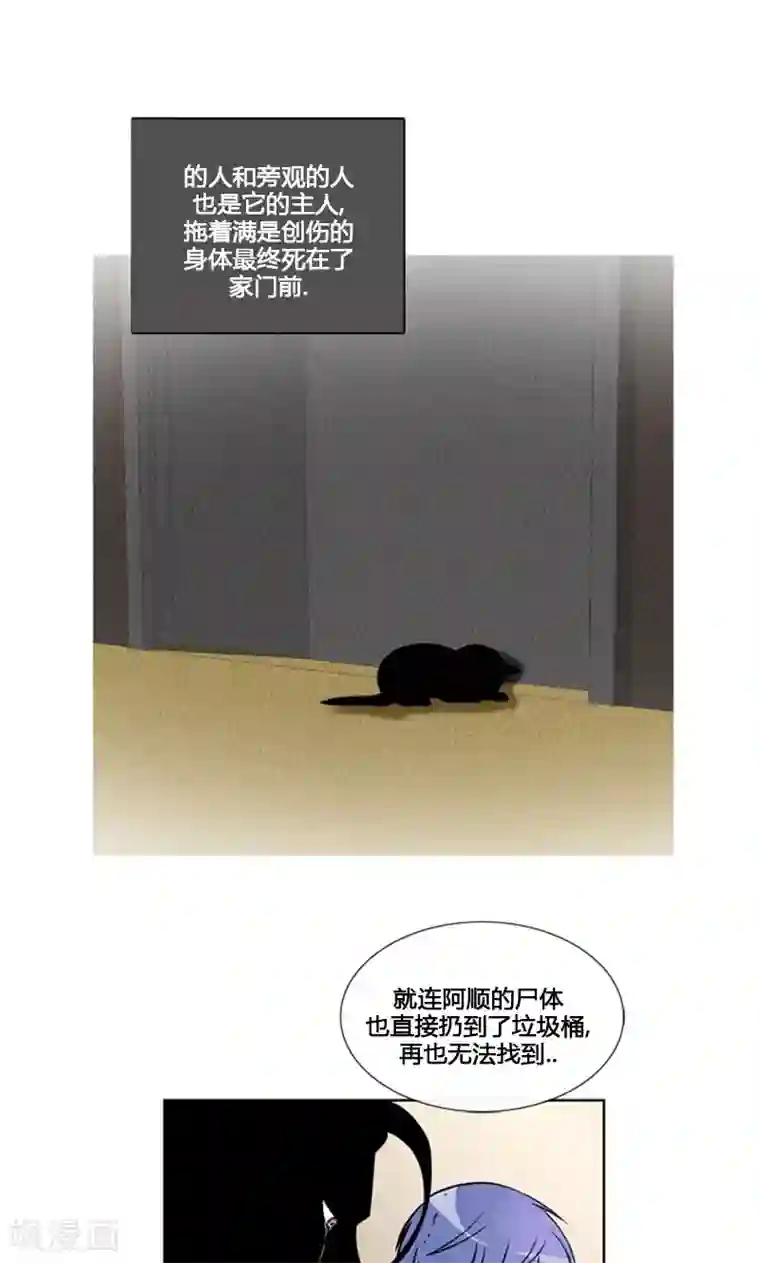 ICE-Cold要员的捡猫事件第86话