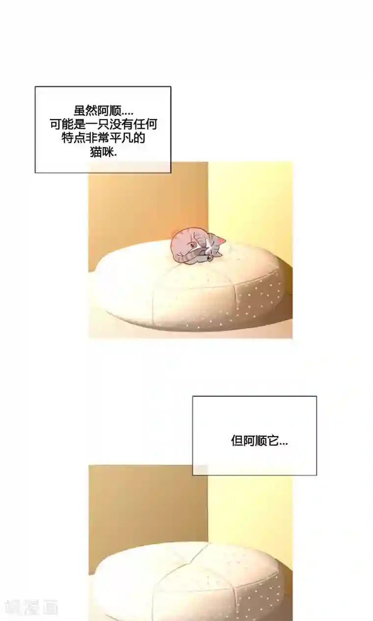 ICE-Cold要员的捡猫事件第86话