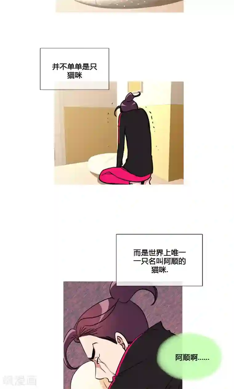 ICE-Cold要员的捡猫事件第86话