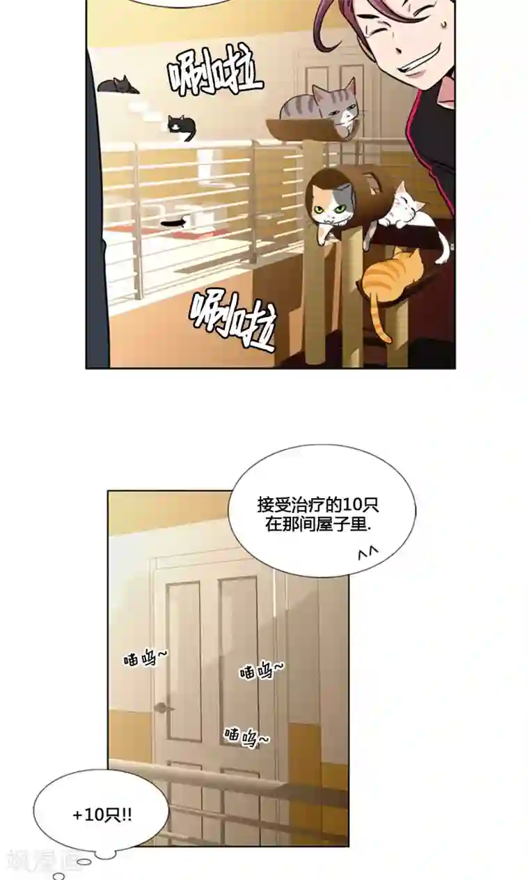 ICE-Cold要员的捡猫事件第86话