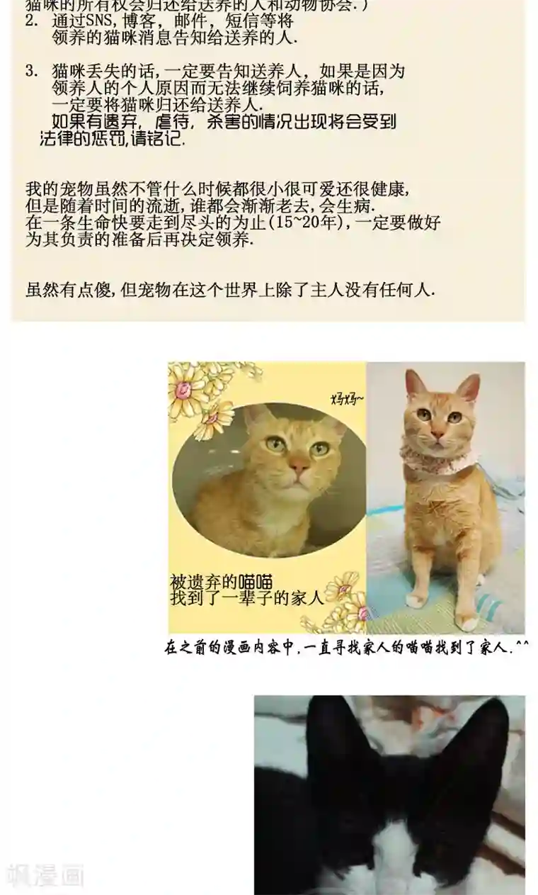 ICE-Cold要员的捡猫事件第86话