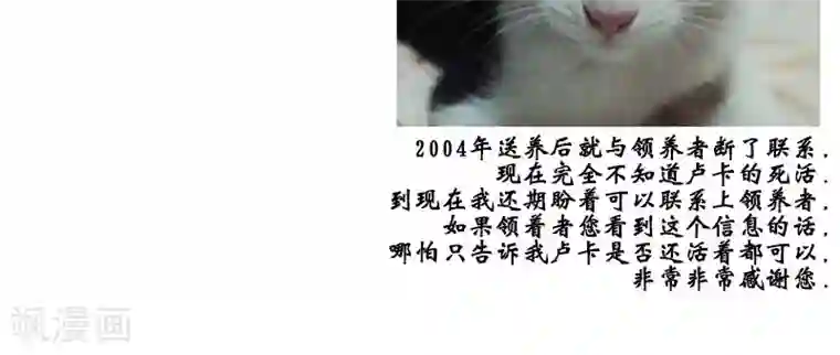 ICE-Cold要员的捡猫事件第86话