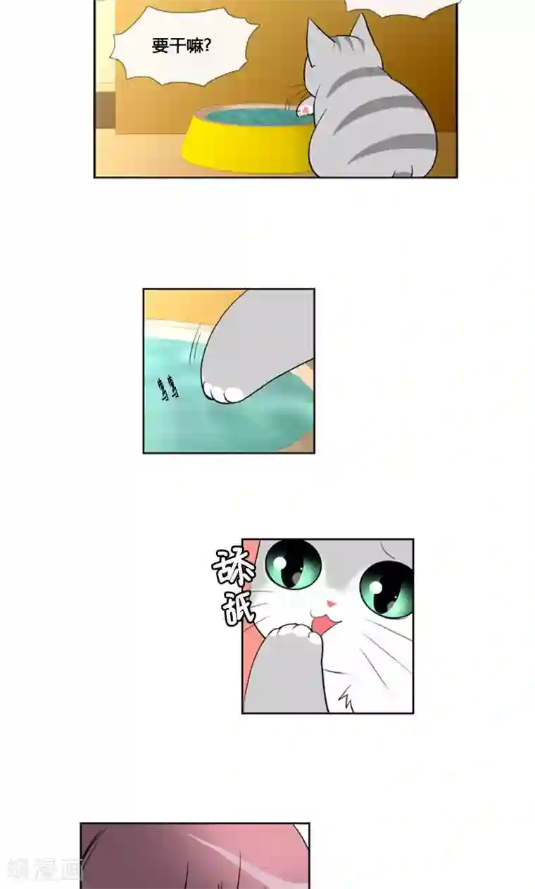 ICE-Cold要员的捡猫事件第87话