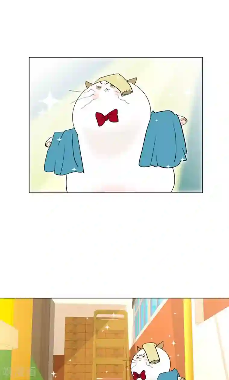 ICE-Cold要员的捡猫事件第87话