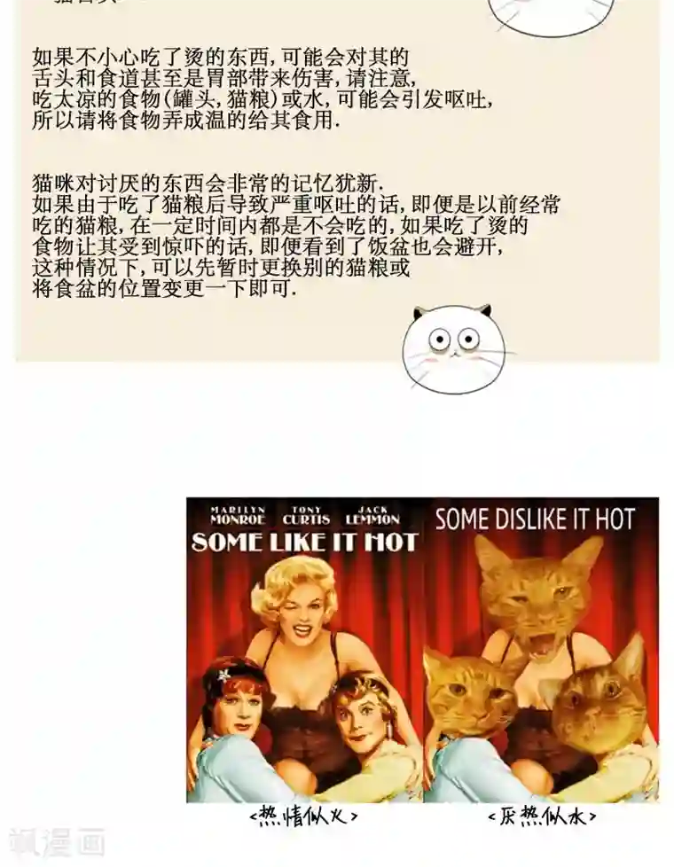 ICE-Cold要员的捡猫事件第87话