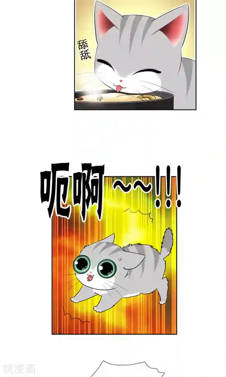 ICE-Cold要员的捡猫事件第87话