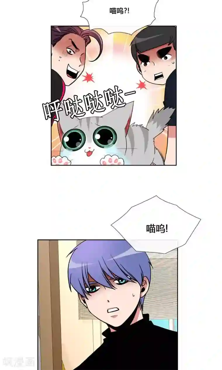 ICE-Cold要员的捡猫事件第87话