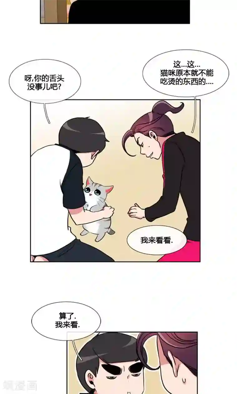 ICE-Cold要员的捡猫事件第87话