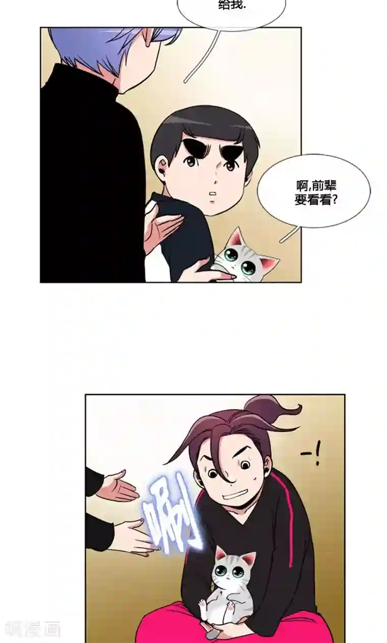 ICE-Cold要员的捡猫事件第87话