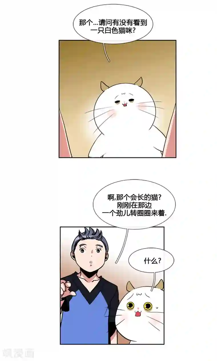 ICE-Cold要员的捡猫事件第88话