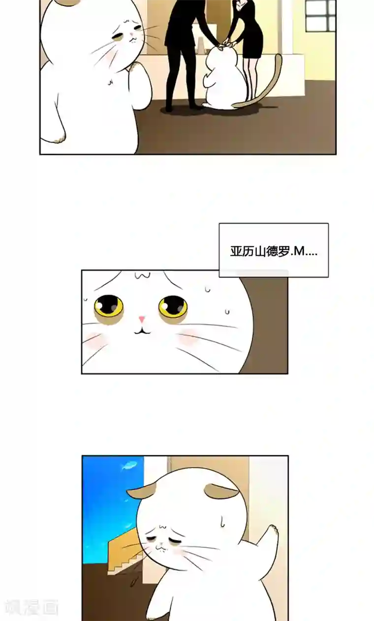 ICE-Cold要员的捡猫事件第88话