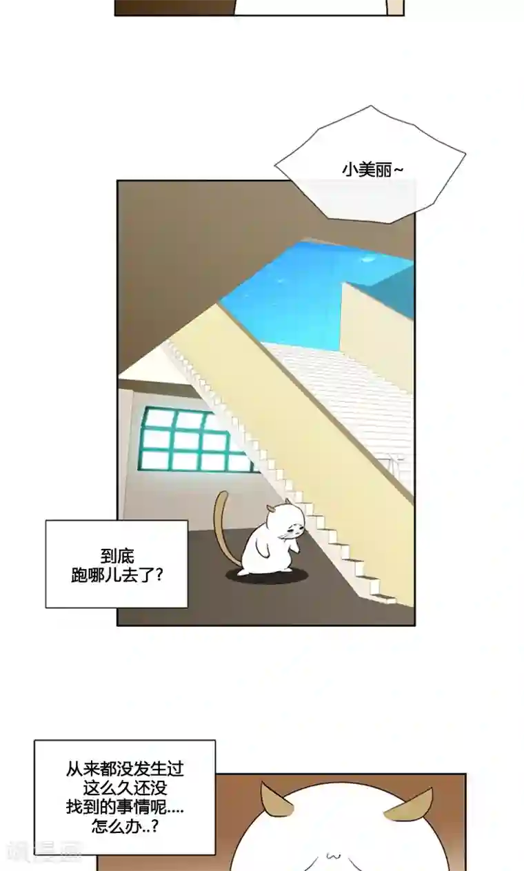 ICE-Cold要员的捡猫事件第88话