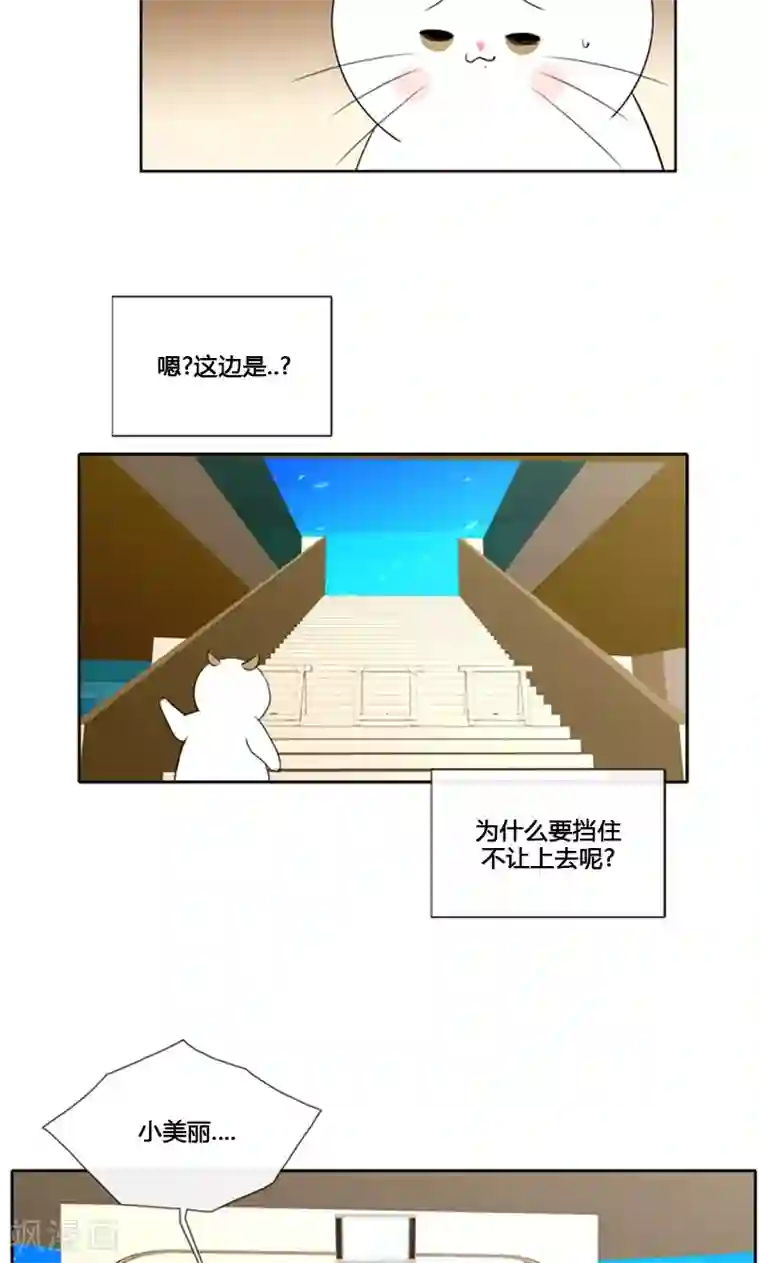 ICE-Cold要员的捡猫事件第88话