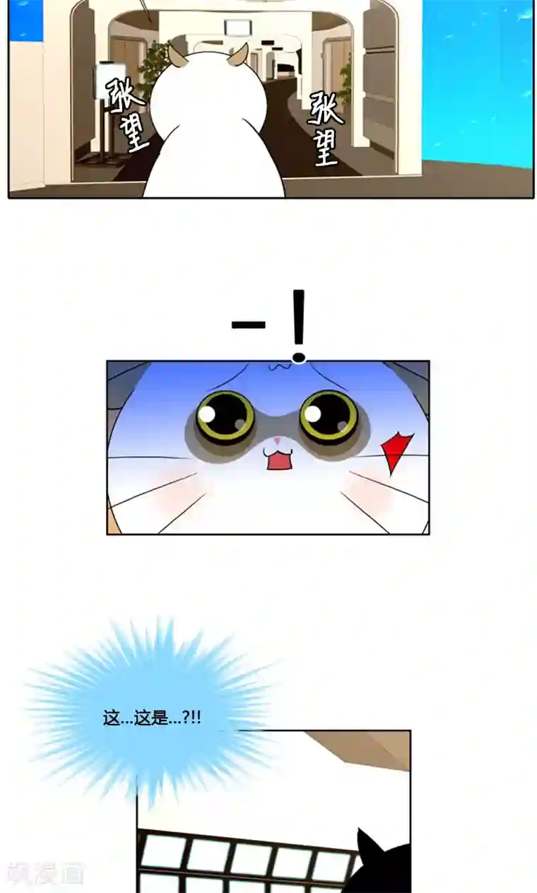 ICE-Cold要员的捡猫事件第88话