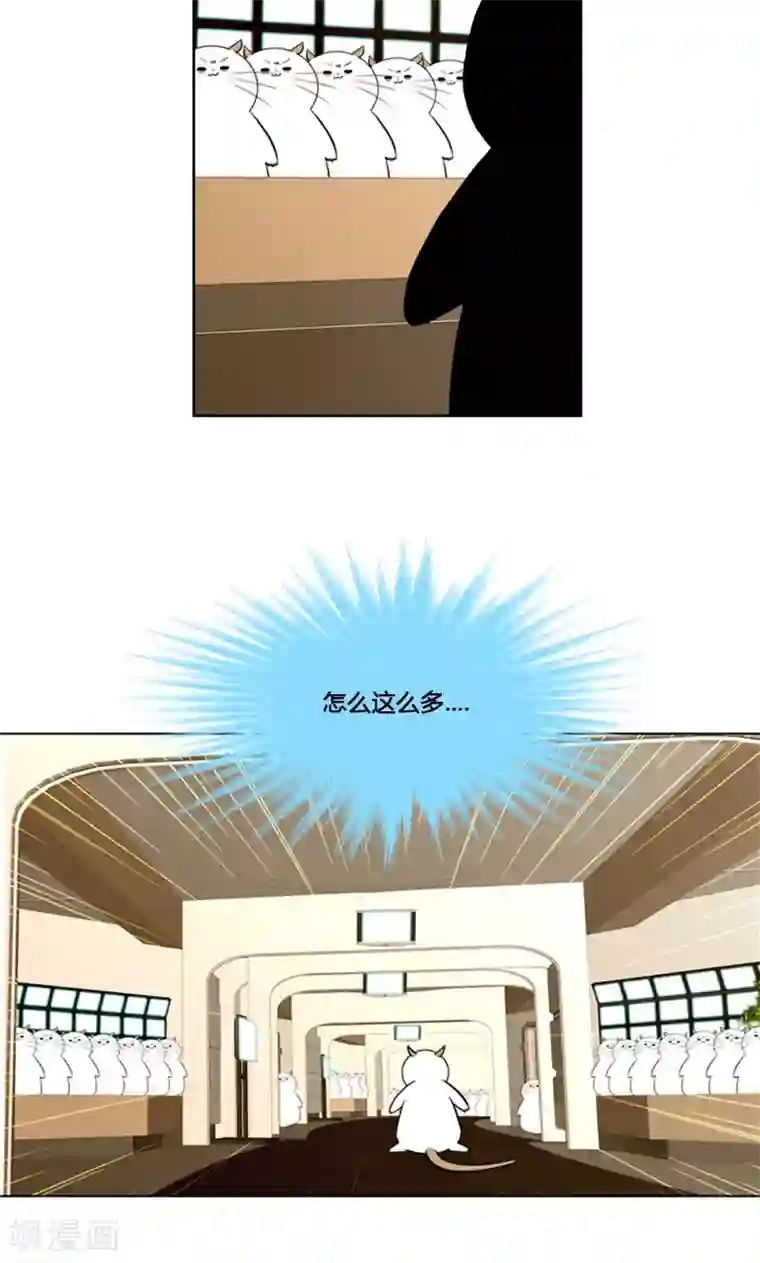ICE-Cold要员的捡猫事件第88话