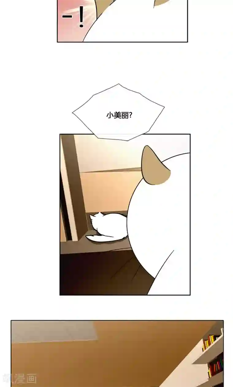 ICE-Cold要员的捡猫事件第88话