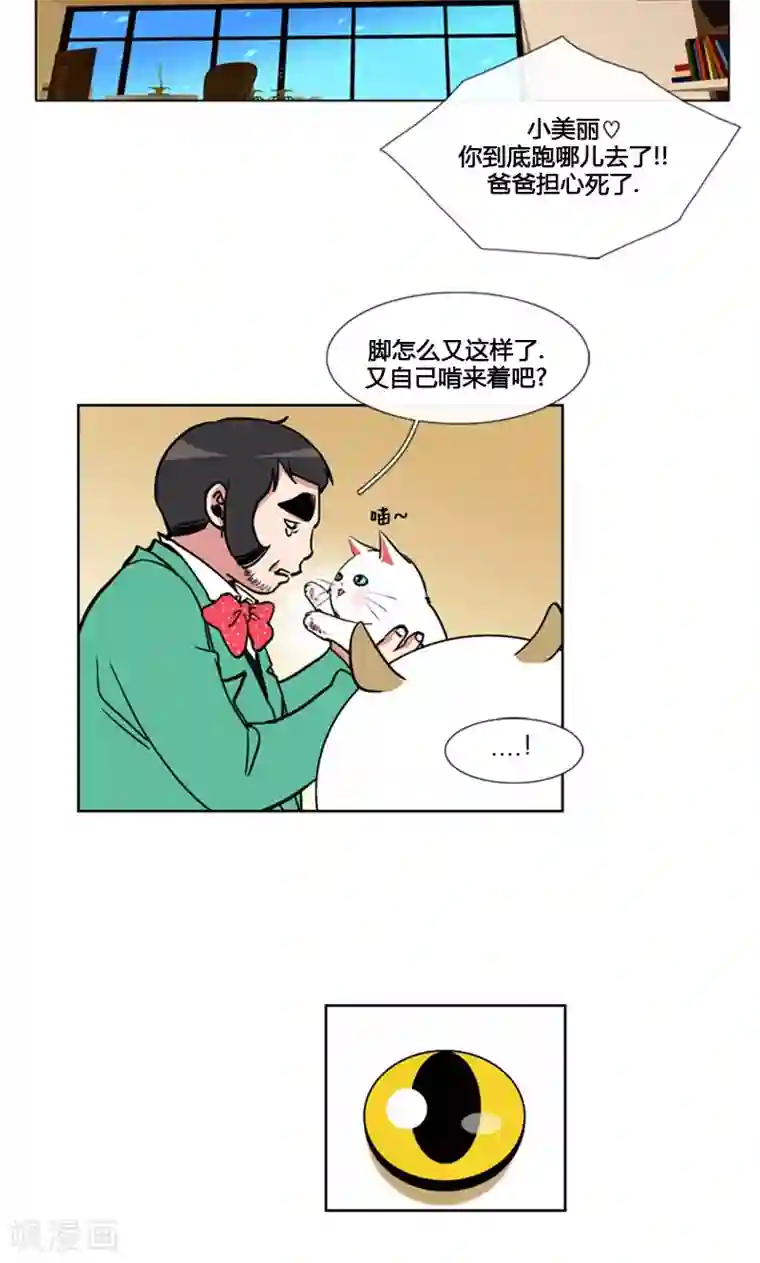 ICE-Cold要员的捡猫事件第88话