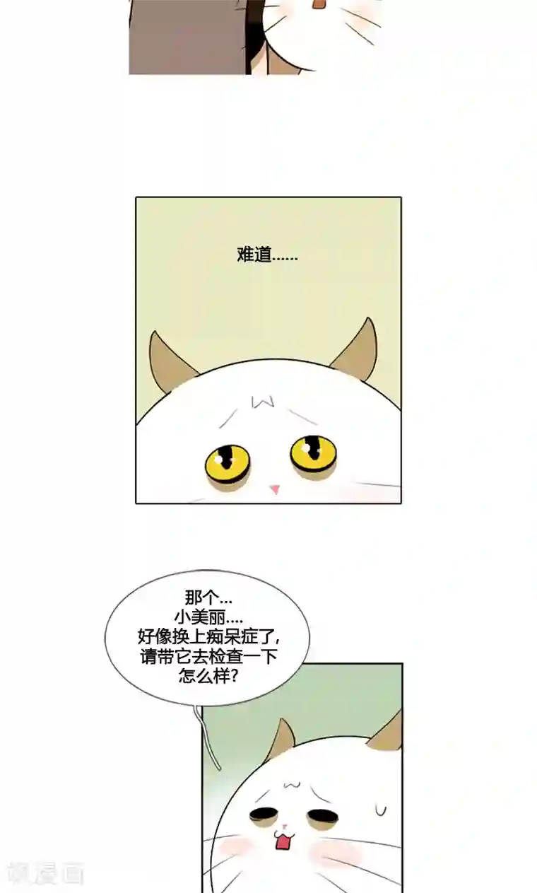 ICE-Cold要员的捡猫事件第88话