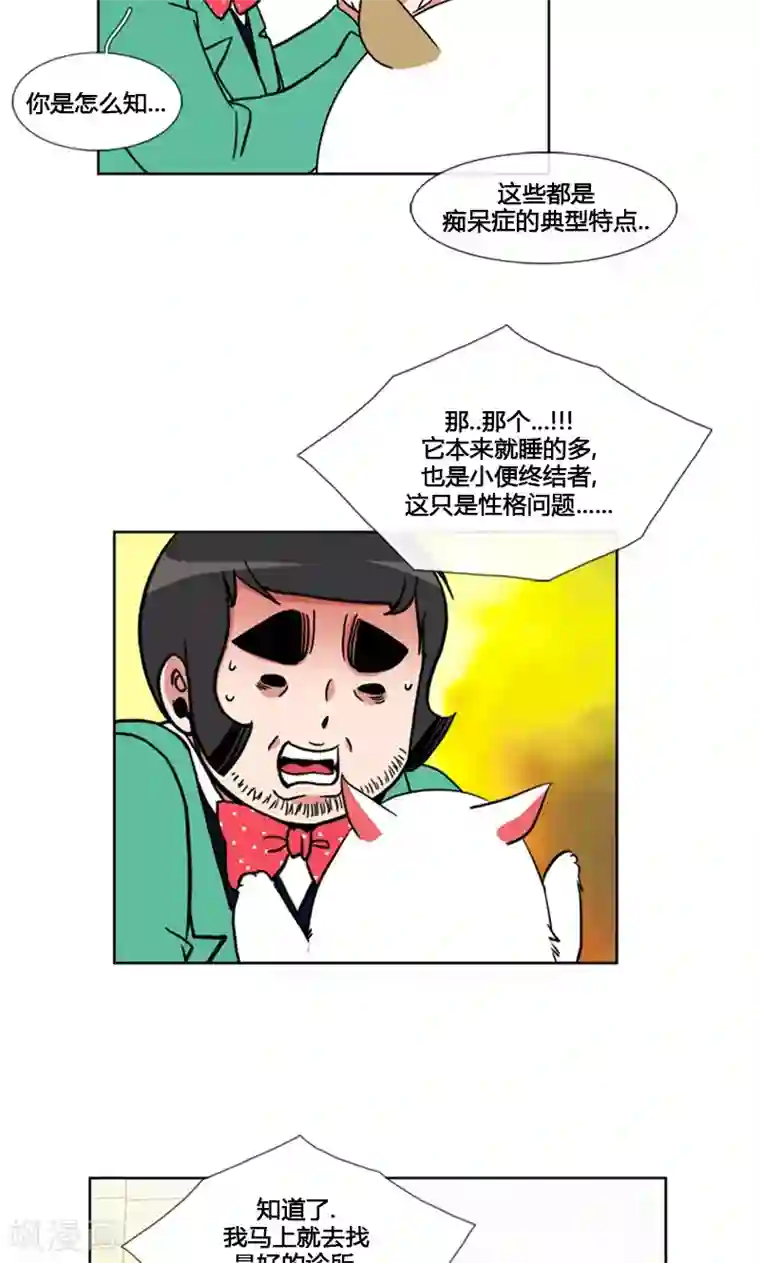 ICE-Cold要员的捡猫事件第88话