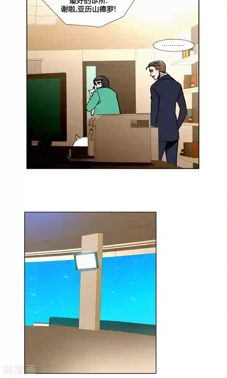 ICE-Cold要员的捡猫事件第88话