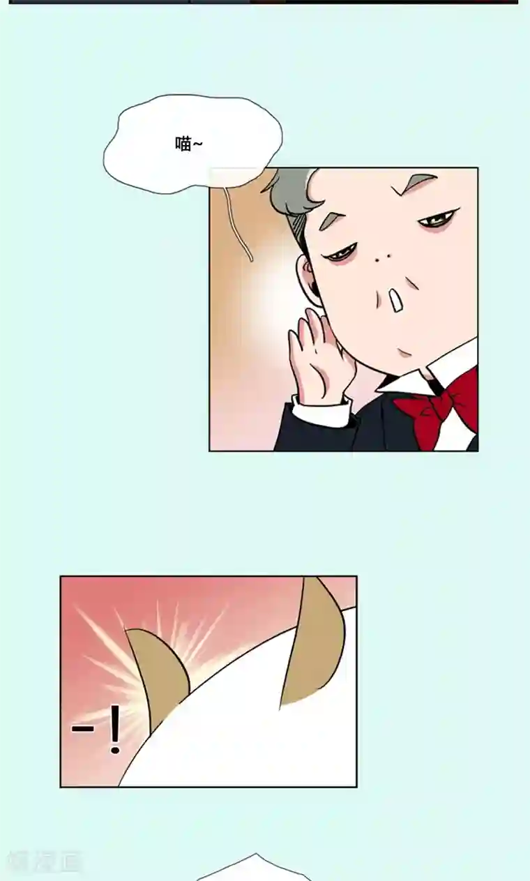 ICE-Cold要员的捡猫事件第88话