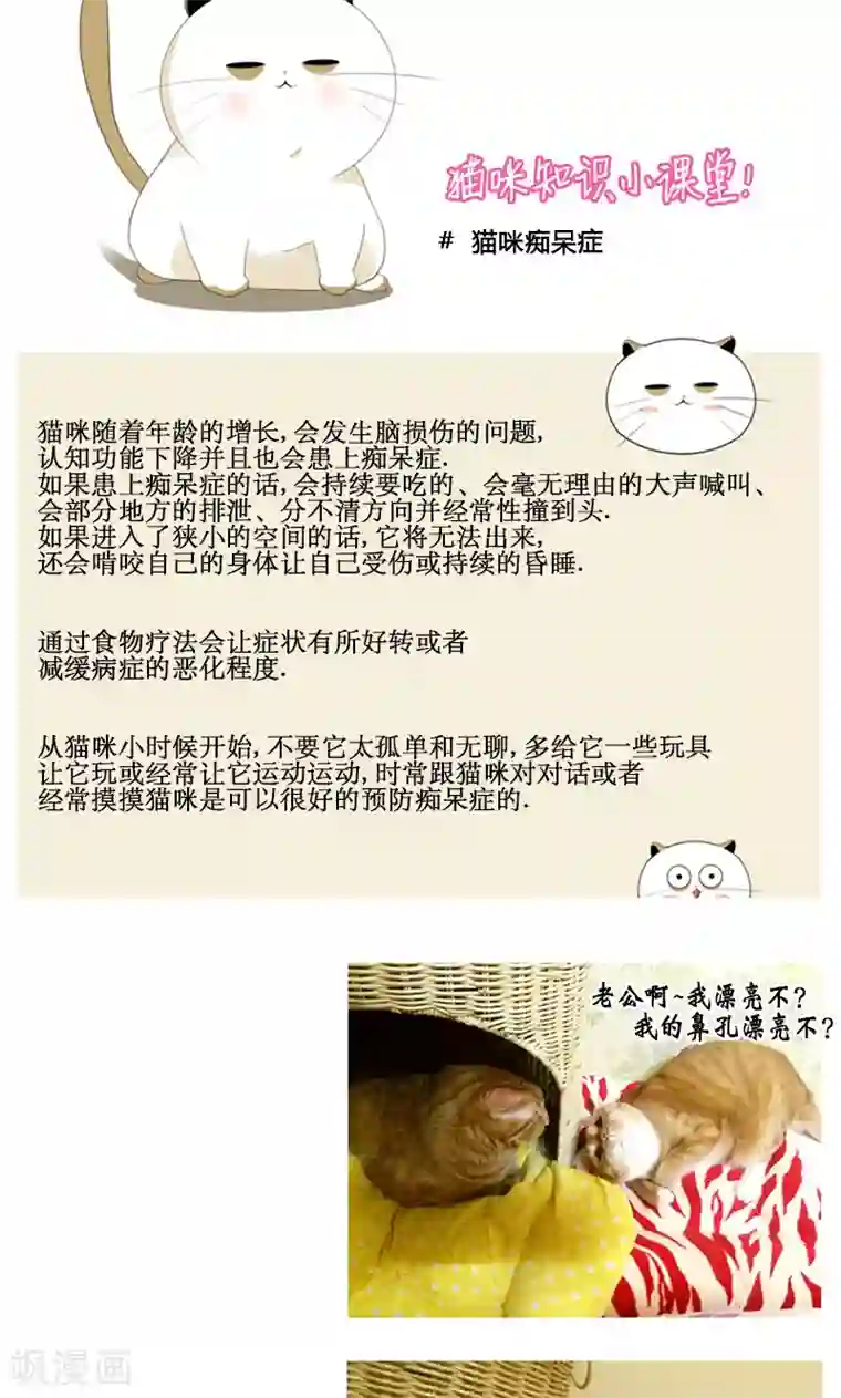 ICE-Cold要员的捡猫事件第88话