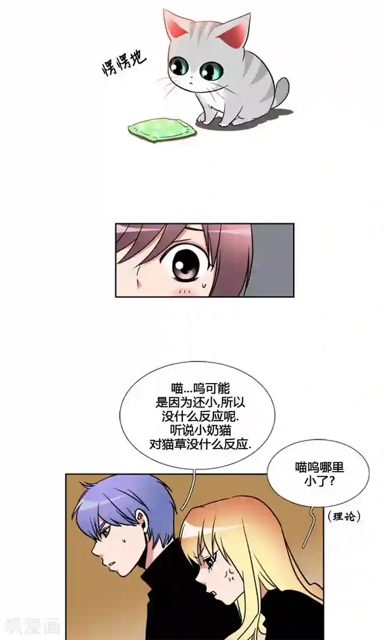 ICE-Cold要员的捡猫事件第89话