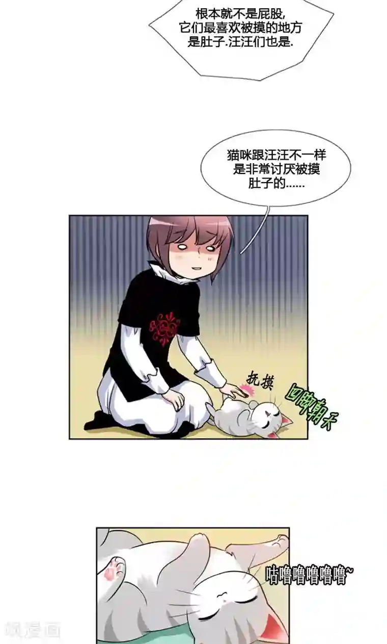 ICE-Cold要员的捡猫事件第89话