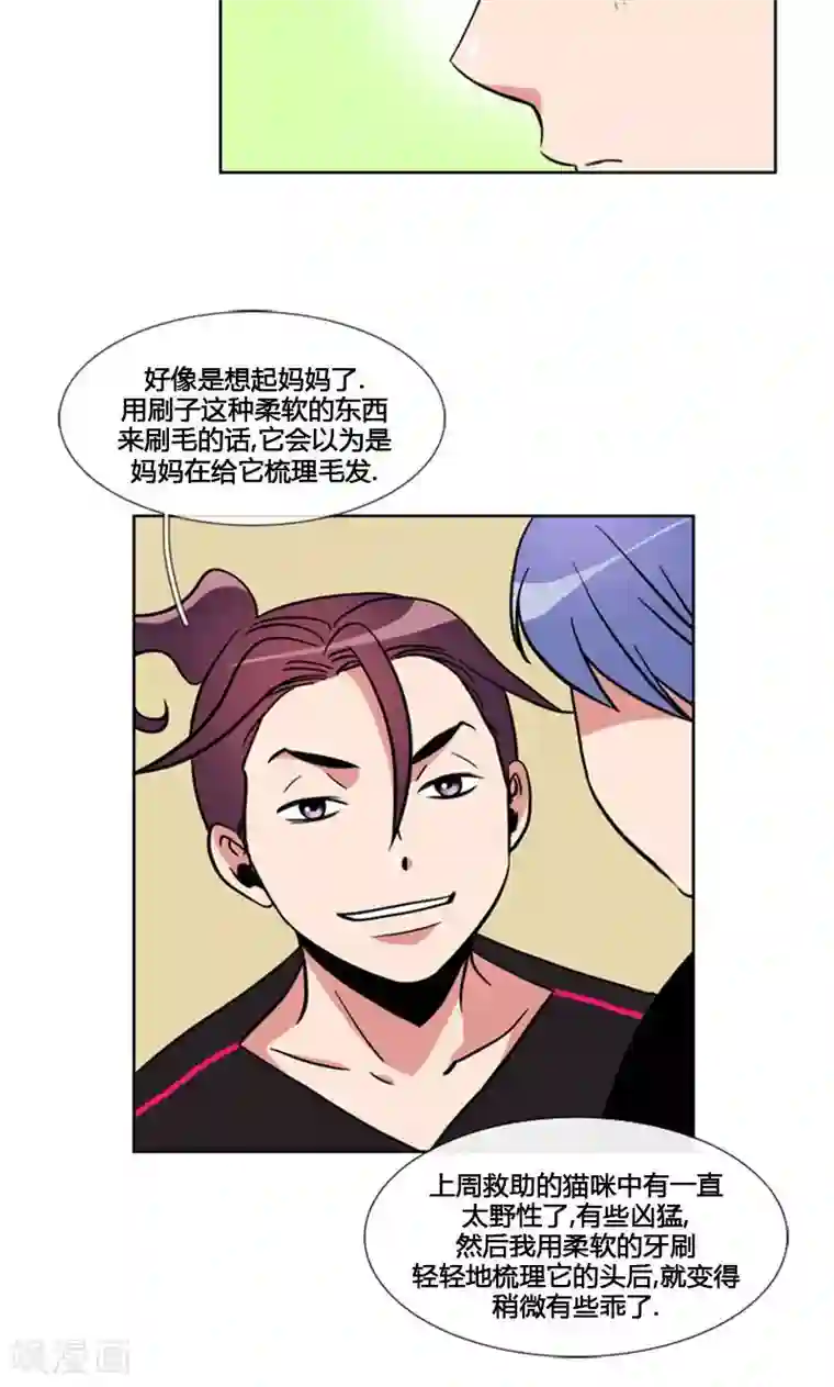 ICE-Cold要员的捡猫事件第89话