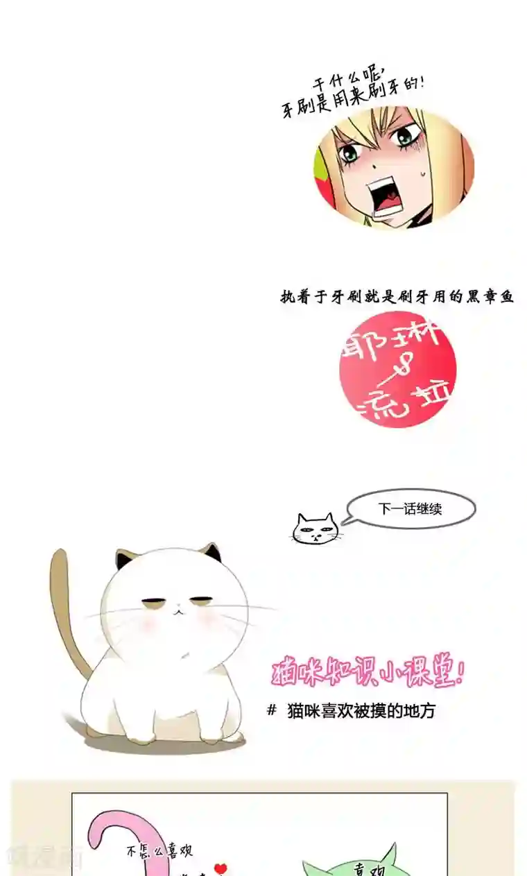 ICE-Cold要员的捡猫事件第89话
