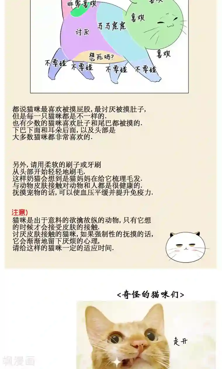 ICE-Cold要员的捡猫事件第89话