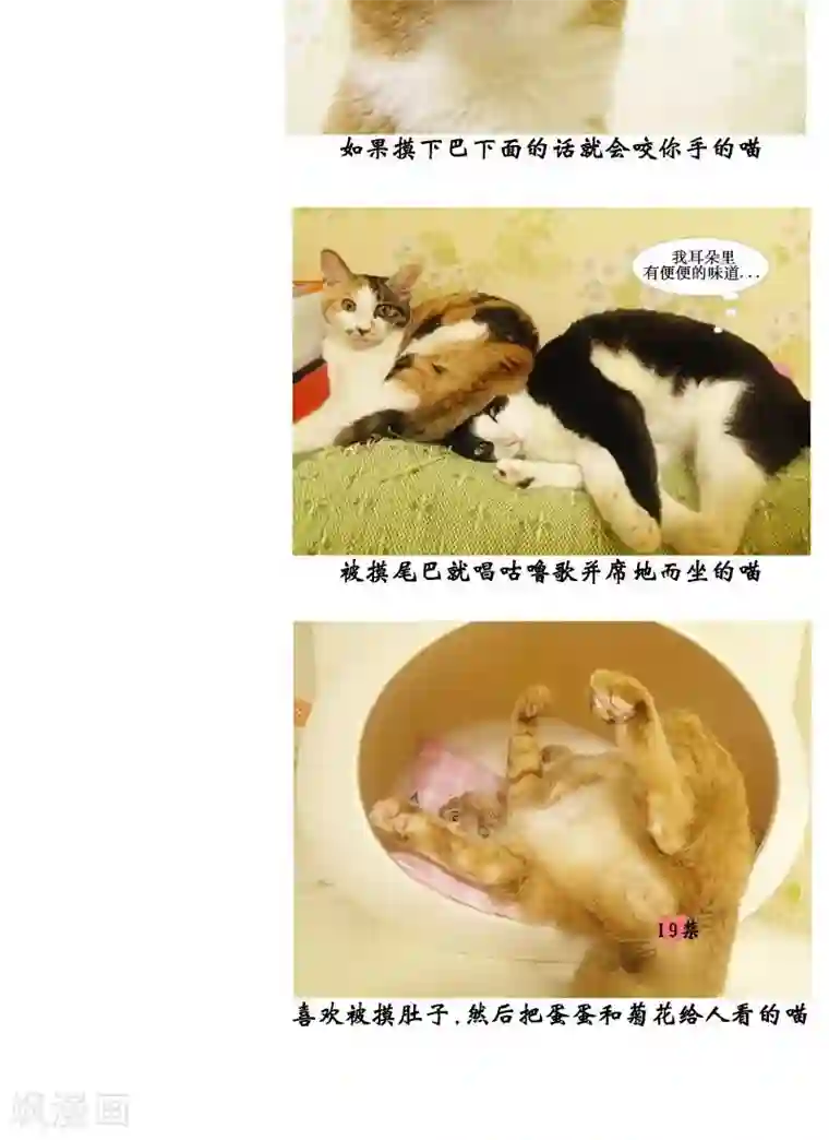 ICE-Cold要员的捡猫事件第89话