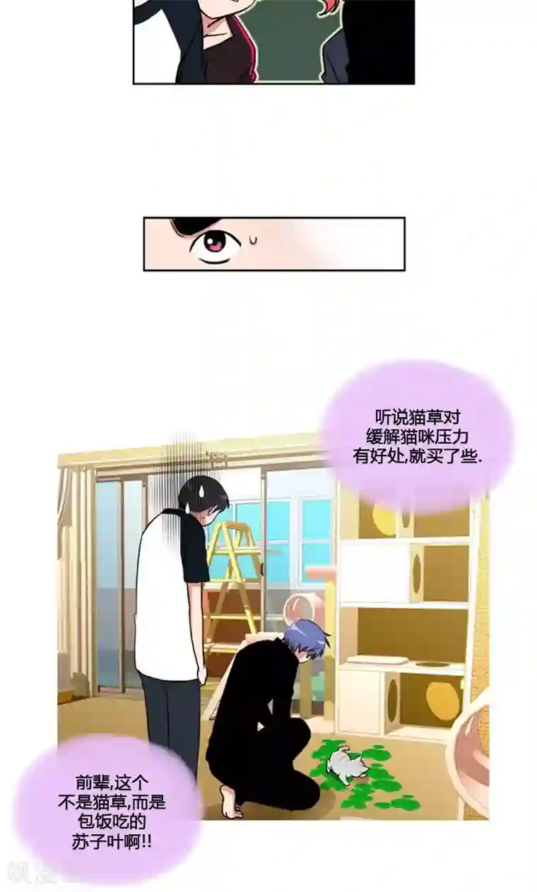 ICE-Cold要员的捡猫事件第89话