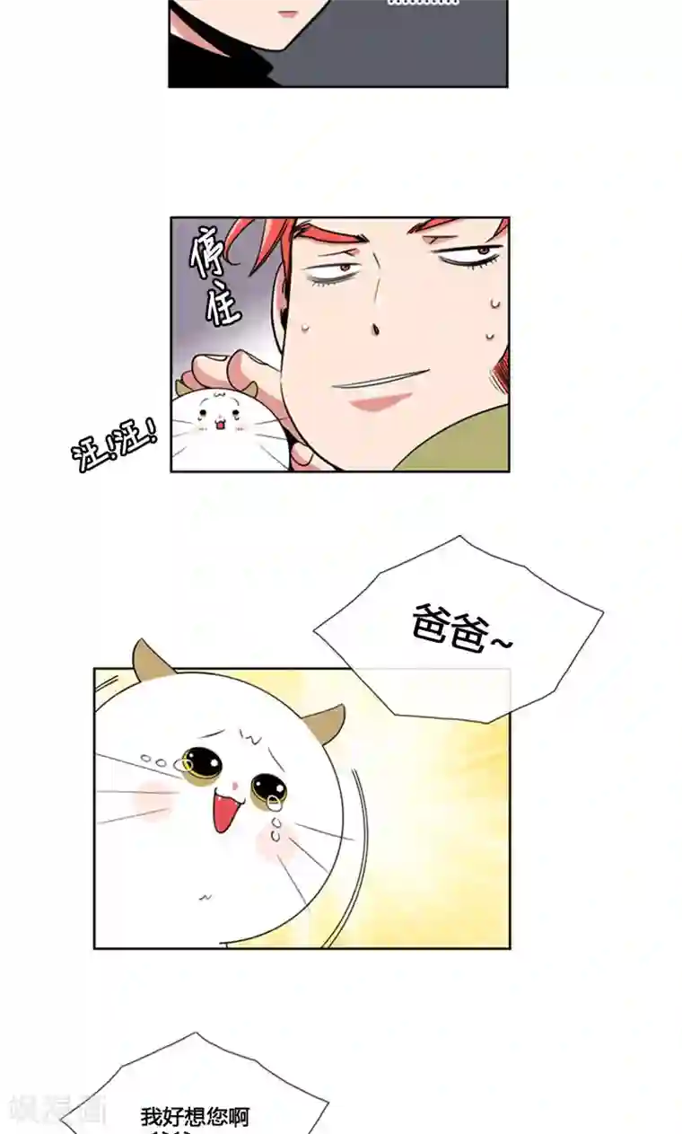 ICE-Cold要员的捡猫事件第90话