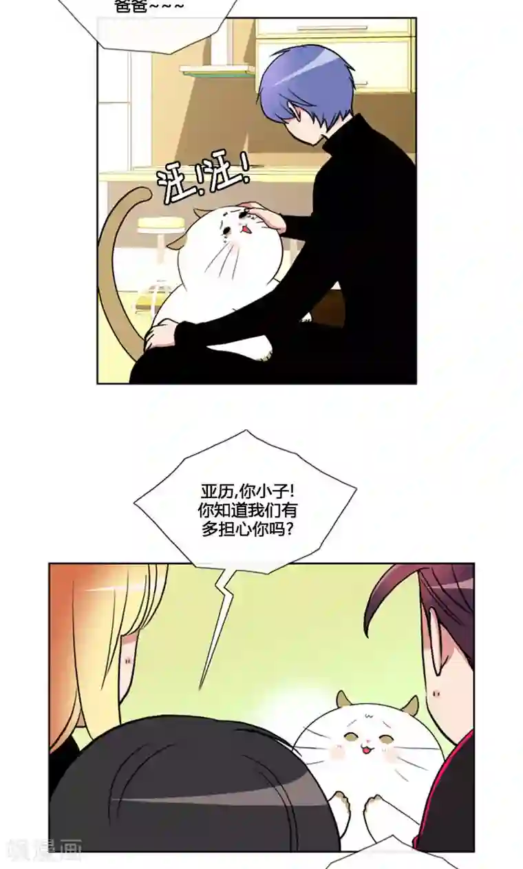 ICE-Cold要员的捡猫事件第90话