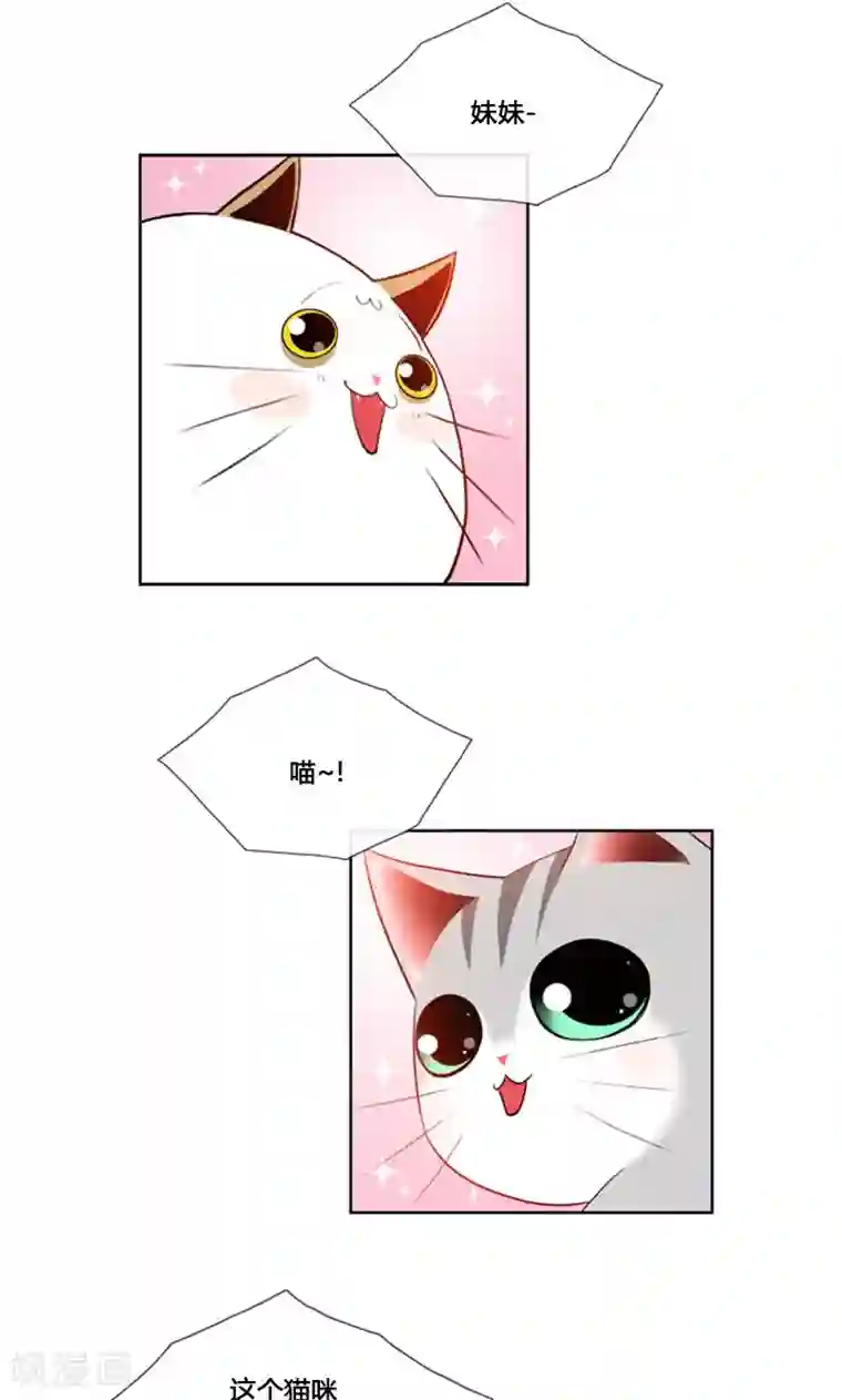 ICE-Cold要员的捡猫事件第90话