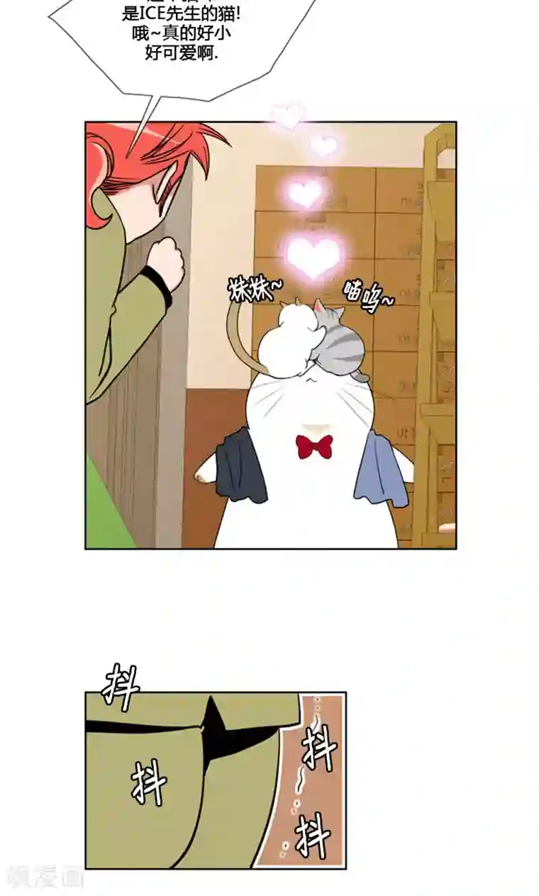 ICE-Cold要员的捡猫事件第90话