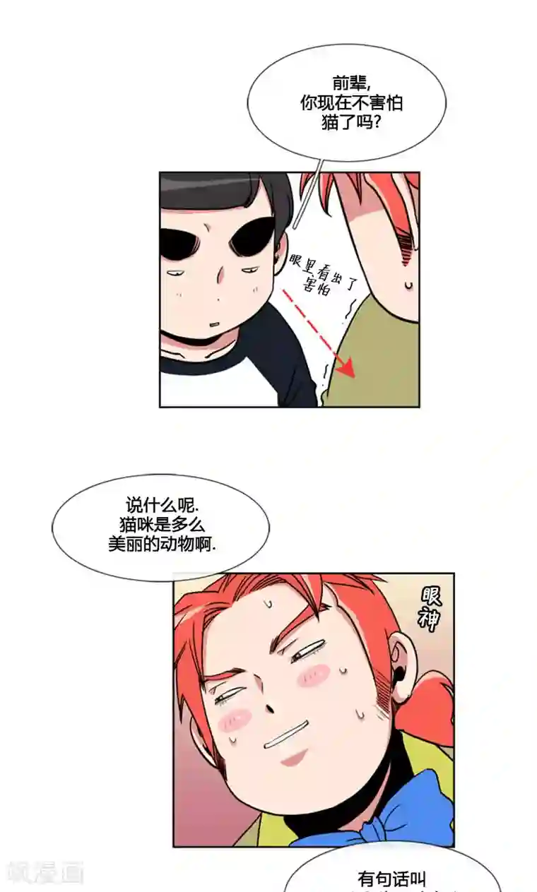 ICE-Cold要员的捡猫事件第90话