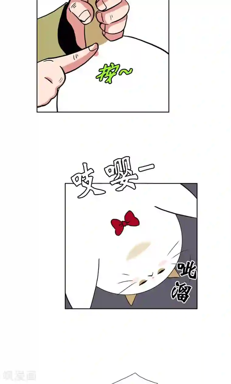 ICE-Cold要员的捡猫事件第90话