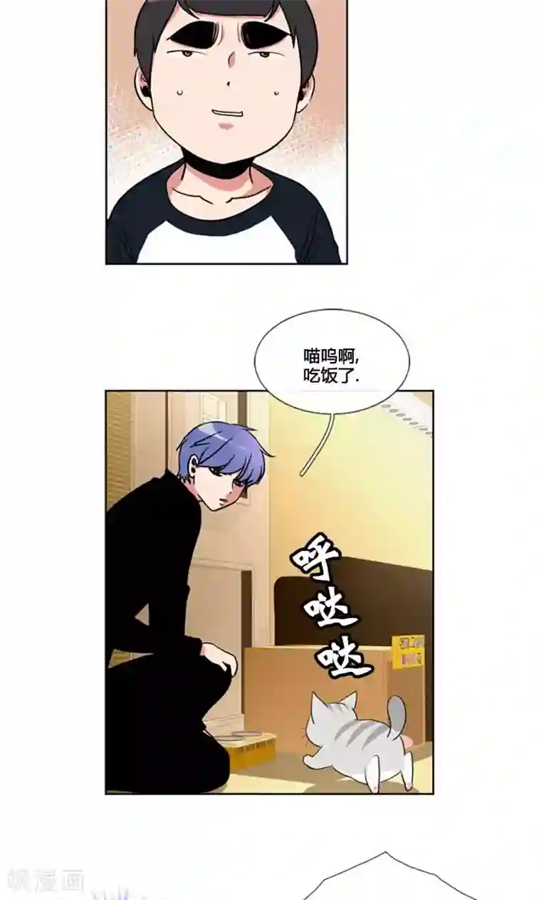 ICE-Cold要员的捡猫事件第91话