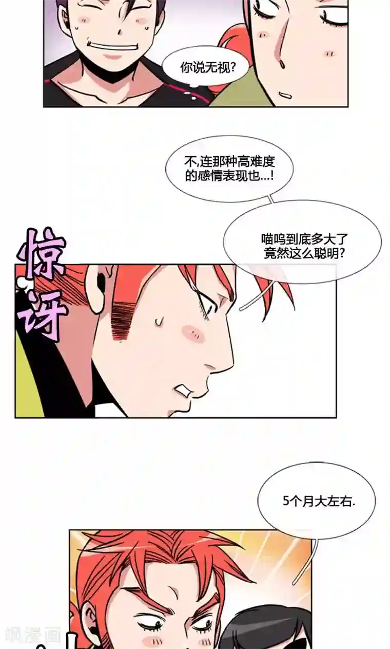 ICE-Cold要员的捡猫事件第91话