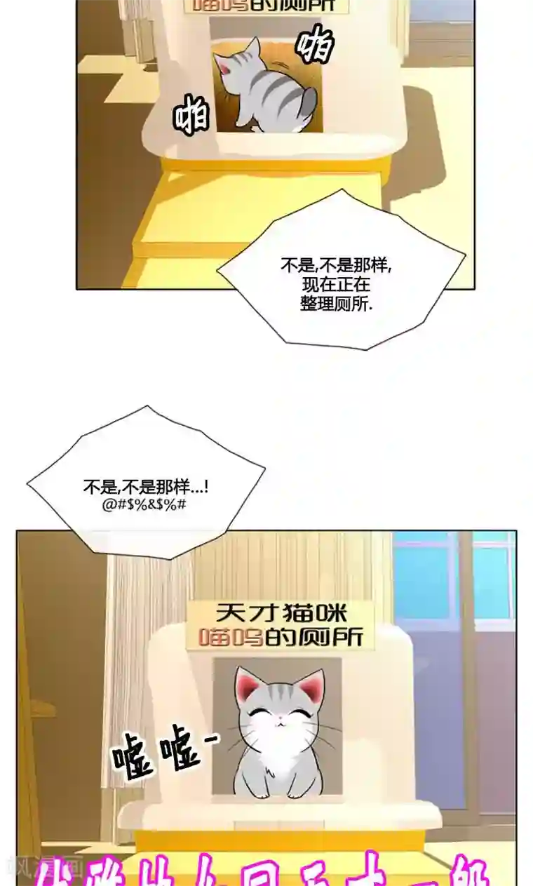 ICE-Cold要员的捡猫事件第91话