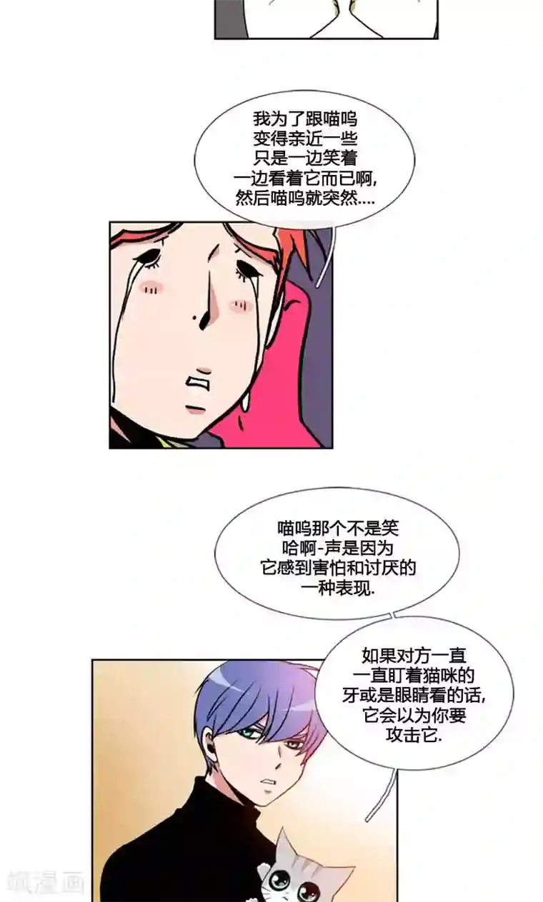 ICE-Cold要员的捡猫事件第91话